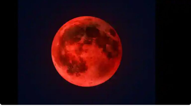 Vivo V50: A Slim & Powerful Mid-Range Flagship for 2025